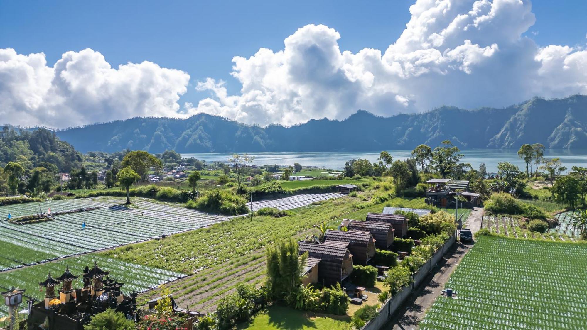 Lodge Tegal Bamboo & Private Hot Spring Baturaja (Bali)